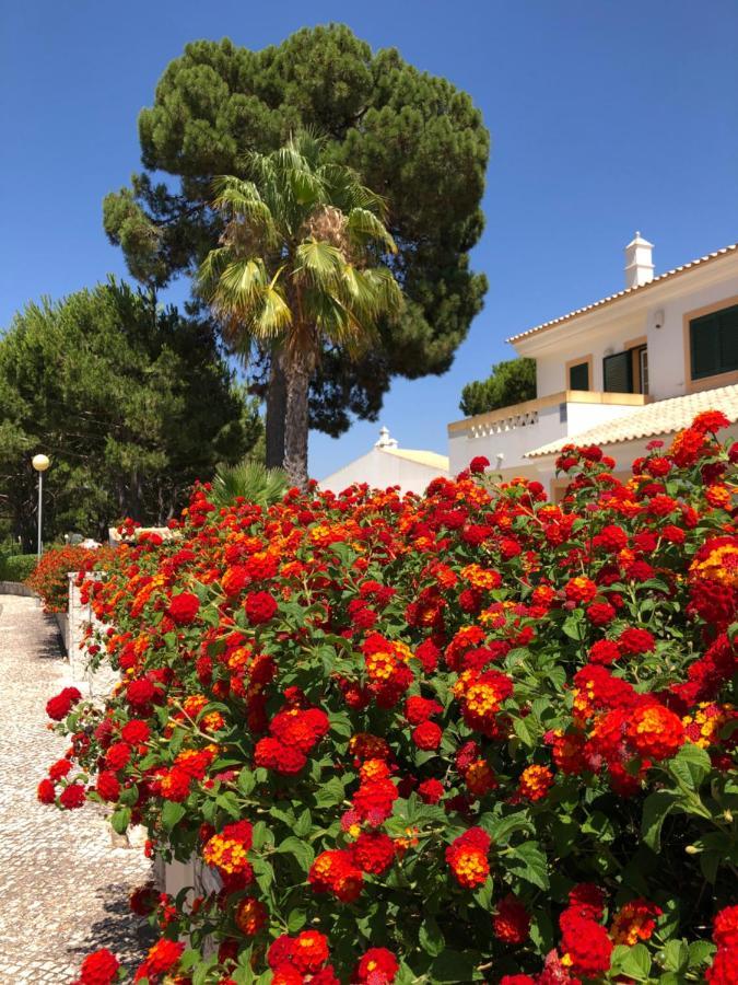 Algarve Albufeira, Quiet Apart With Pool At 10 Mn Walk From Praia Da Falesia Olhos de Agua  Exterior photo